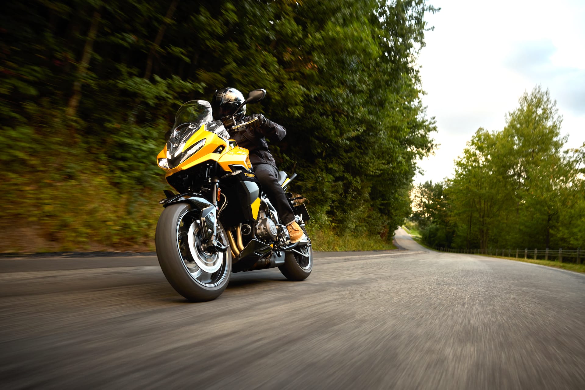 Triumph_-tigersport800_01